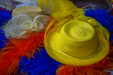 View of Ostrich feathers on display with a straw hat, at Safari Ostrich Farm, Oudtshoorn, Western Cape, South Africa, Africa