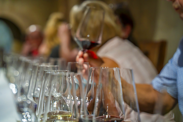 View of people sampling wine at Robertson Kooperatiewe Wynmakery, Robertson, Western Cape, South Africa, Africa