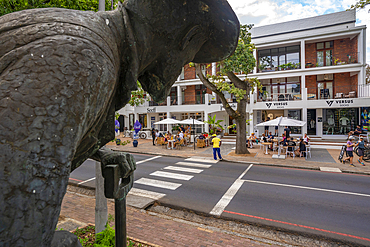 View of Old Mac statue and restaurant and cafe, Stellenbosch Central, Stellenbosch, Western Cape, South Africa, Africa