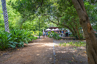 View of restaurant and cafe in Company's Garden, Cape Town, Western Cape, South Africa, Africa