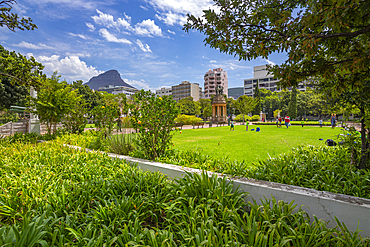 View of Company's Garden and Table Mountain in background, Cape Town, Western Cape, South Africa, Africa