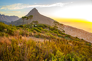 View of Lion's Head at sunset from Signal Hill, Cape Town, Western Cape, South Africa, Africa