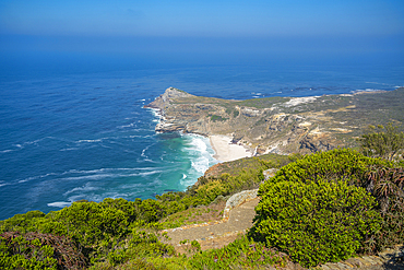 View of Dias Beach from lighthouse, Cape of Good Hope Nature Reserve, Cape Town, Western Cape, South Africa, Africa