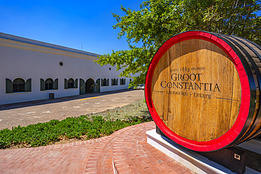 View of Groot Constantia-Trust Wine Farm, Constantia, Cape Town, Western Cape, South Africa, Africa