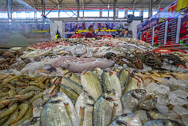 View of fish stall in Hurghada Fish Market, Hurghada, Red Sea Governorate, Egypt, North Africa, Africa