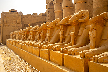 View of Ram headed sphinxes leading up to Ramesses III Temple at Karnak Temple, Karnak, Thebes, UNESCO World Heritage Site, Egypt, North Africa, Africa