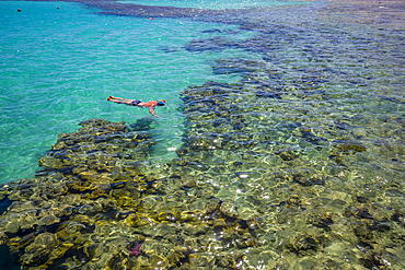 View of man snorkeling in the Red Sea near Sahl Hasheesh, Sahl Hasheesh, Hurghada, Red Sea Governorate, Egypt, North Africa, Africa