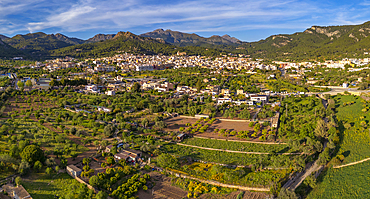 Aerial view of fruit tree fields and Andratx in the background, Majorca, Balearic Islands, Spain, Mediterranean, Europe