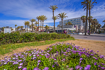 View of cafes and bars at Playa de Palma, S'Arenal, Palma, Majorca, Balearic Islands, Spain, Mediterranean, Europe