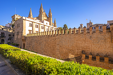 View of Cathedral-Basílica de Santa María de Mallorca from Seo Garden, Palma de Mallorca, Majorca, Balearic Islands, Spain, Mediterranean, Europe