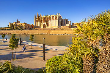 View of Cathedral-Basílica de Santa Maria de Mallorca from Passeig Marítime, Palma de Mallorca, Majorca, Balearic Islands, Spain, Mediterranean, Europe