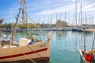 View of Cathedral-Basílica de Santa Maria de Mallorca from Passeig Marítime, Palma de Mallorca, Majorca, Balearic Islands, Spain, Mediterranean, Europe