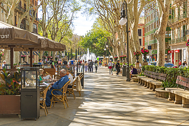 View of cafes on Paseo del Borne, Palma de Mallorca, Majorca, Balearic Islands, Spain, Mediterranean, Europe