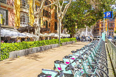 View of cafes and cycles along Avenue d'Antoni Maura, Palma de Mallorca, Majorca, Balearic Islands, Spain, Mediterranean, Europe