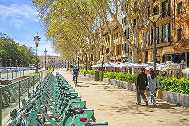 View of cafes and cycles along Avenue d'Antoni Maura, Palma de Mallorca, Majorca, Balearic Islands, Spain, Mediterranean, Europe