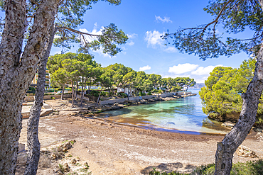 View of Es Calo d'en Pellicer beach in Santa Ponsa, Majorca, Balearic Islands, Spain, Mediterranean, Europe