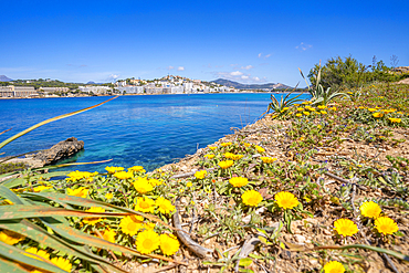 View of rocky shoreline by turquoise sea and Santa Ponsa, Majorca, Balearic Islands, Spain, Mediterranean, Europe