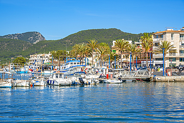 View of marina at Port d'Andratx, Majorca, Balearic Islands, Spain, Mediterranean, Europe