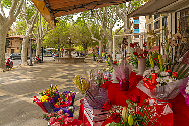 View of flower stall and fountain on tree lined La Rambla in Palma, Palma de Mallorca, Majorca, Balearic Islands, Spain, Mediterranean, Europe