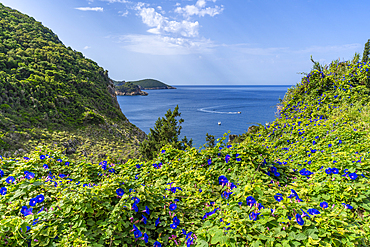 View of coastline and Ionian Sea near Palaiokastritsa, Palaiokastritsa, Corfu, Ionian Sea, Greek Islands, Greece, Europe