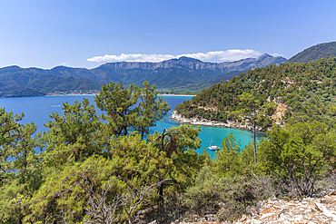 View of coastline and sea near Chrysi Ammoudia, Thassos, Aegean Sea, Greek Islands, Greece, Europe