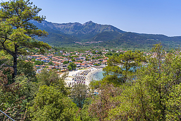 View of trees and Golden Beach at Chrysi Ammoudia, Thassos, Aegean Sea, Greek Islands, Greece, Europe