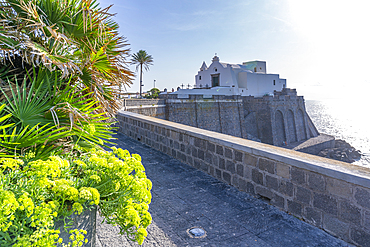 View of Chiesa del Soccorso church, Forio, Island of Ischia, Campania, Italy, Europe