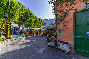 View of colourful shops and bars on Via San Francisco, Forio, Island of Ischia, Campania, Italy, Europe