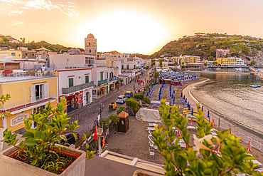 Elevated view of beach and the town of Lacco Ameno at sunset, Island of Ischia, Campania, Italy, Europe