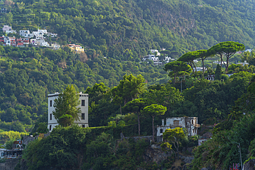 View of hills and villas near Aragonese Castle at sunset, Port of Ischia, Island of Ischia, Campania, Italy, Europe