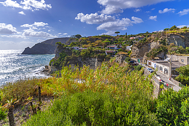 View of coastline from elevated position in Sant'Angelo, Sant'Angelo, Island of Ischia, Campania, Italy, Europe