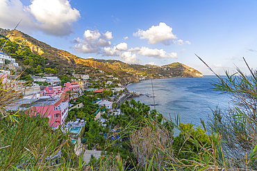 View of coastline from Sant'Angelo, Sant'Angelo, Island of Ischia, Campania, Italy, Europe