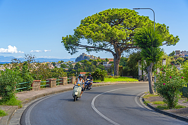 View of Castello Aragonese d'Ischia from Porto d'Ischia (Port of Ischia), Island of Ischia, Campania, Italy, Europe