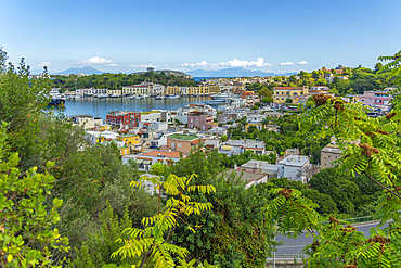 Elevated view of Porto d'Ischia (Port of Ischia), Island of Ischia, Campania, Italy, Europe