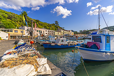 View of boats and restaurants in Porto d'Ischia (Port of Ischia), Island of Ischia, Campania, Italy, Europe