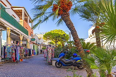 View of shops in Porto d'Ischia (Port of Ischia), Island of Ischia, Campania, Italy, Europe