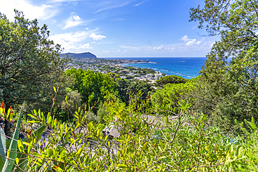 View of Giardini la Mortella Botanical Garden and Forio in background, Forio, Island of Ischia, Campania, Italy, Europe