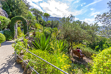 View of tropical flora in Giardini la Mortella Botanical Garden, Forio, Island of Ischia, Campania, Italy, Europe