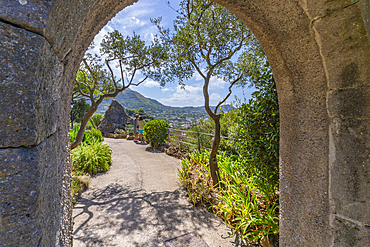 View of tropical flora in Giardini la Mortella Botanical Garden, Forio, Island of Ischia, Campania, Italy, Europe