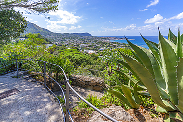 View of tropical flora in Giardini la Mortella Botanical Gardens and Forio in background, Forio, Island of Ischia, Campania, Italy, Europe