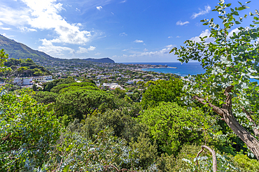 View of tropical flora in Giardini la Mortella Botanical Gardens and Forio in background, Forio, Island of Ischia, Campania, Italy, Europe