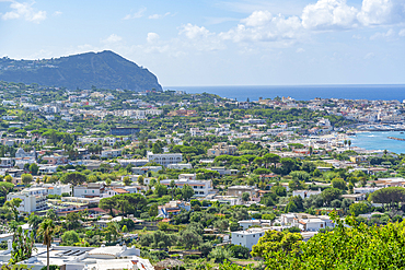 View of Forio from Giardini la Mortella Botanical Gardens, Forio, Island of Ischia, Campania, Italy, Europe