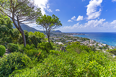 View of tropical flora in Giardini la Mortella Botanical Gardens and Forio in background, Forio, Island of Ischia, Campania, Italy, Europe