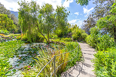 View of tropical flora in Giardini la Mortella Botanical Gardens, Forio, Island of Ischia, Campania, Italy, Europe