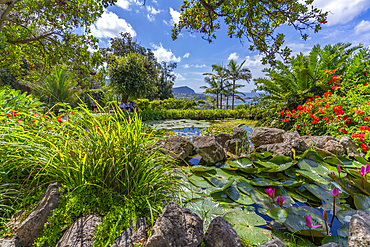 View of tropical flora in Giardini la Mortella Botanical Gardens, Forio, Island of Ischia, Campania, Italy, Europe