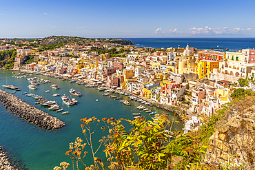 View of Marina di Corricella from Eglise Santa Maria delle Grazie, Procida, Phlegraean Islands, Gulf of Naples, Campania, Southern Italy, Italy, Europe