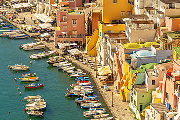 View of Marina di Corricella from elevated position, Procida, Phlegraean Islands, Gulf of Naples, Campania, Southern Italy, Italy, Europe