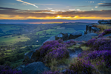 View of landscape from Curbar Edge with purple flowering heather at sunset, Peak District National Park, Baslow, Derbyshire, England, United Kingdom, Europe