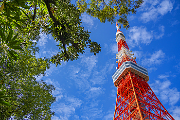 View of Tokyo Tower from its base against blue sky, Shibakoen, Minato City, Tokyo, Japan, Asia