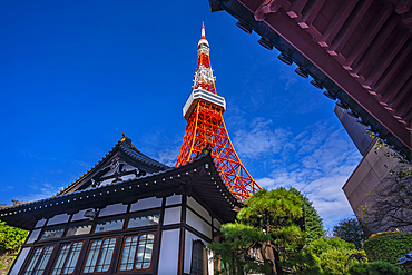 View of Tokyo Tower and Shinkōin Budist Temple against blue sky, Shibakoen, Minato City, Tokyo, Japan, Asia